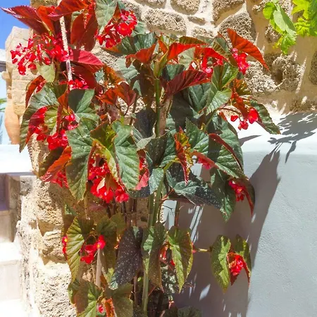 Colours - Old Town - Apartment *